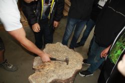 IMG 4883